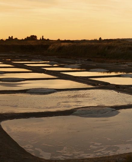 Salt marshes